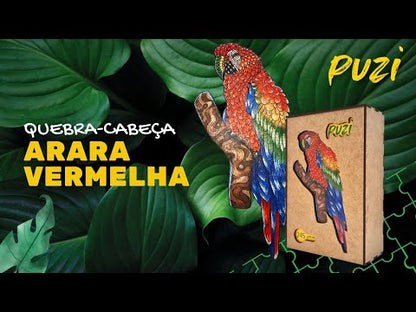 Quebra-Cabeça de Madeira Arara-Vermelha